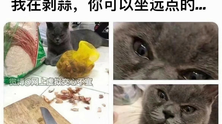 采币主播  啥都玩点