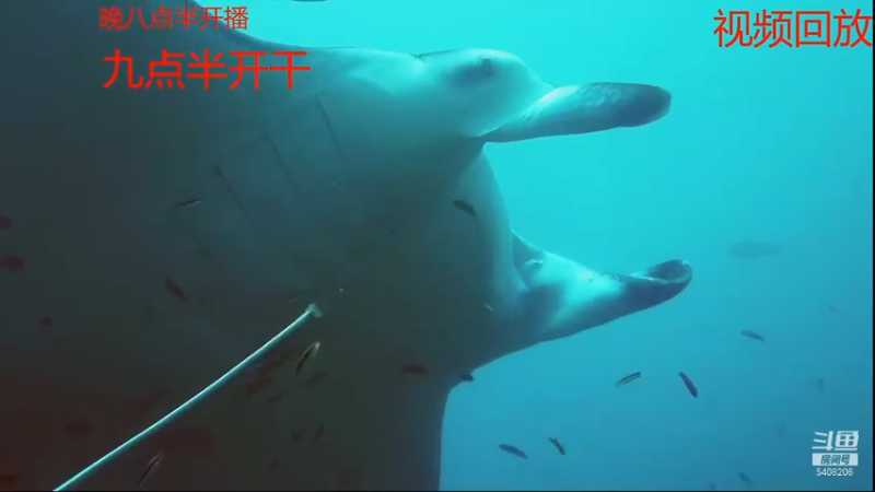 【2021-07-15 10点场】海道丶：恭喜 压压惊大哥喜提狠货！