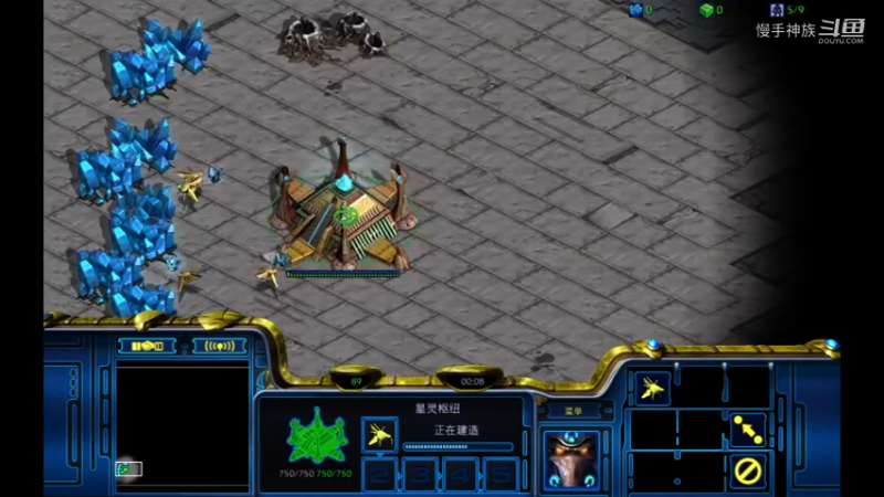 pvz劝退流2021-07-14 23-11-42