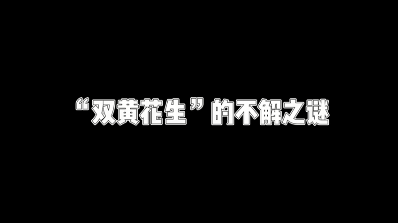 【原神】双黄花生