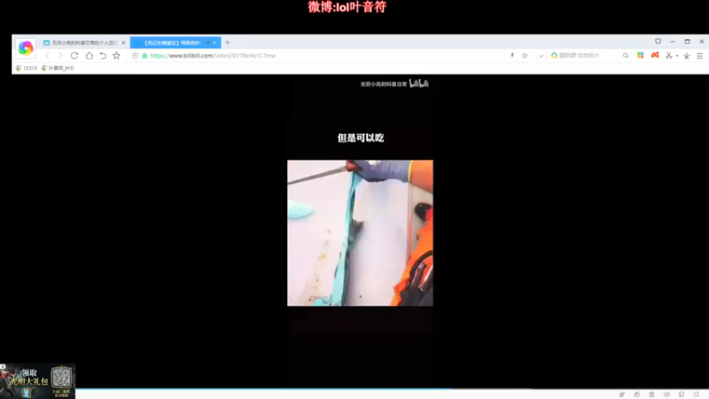 【2021-07-15 20点场】叶音符：叶音符:叶坦厂暑假班