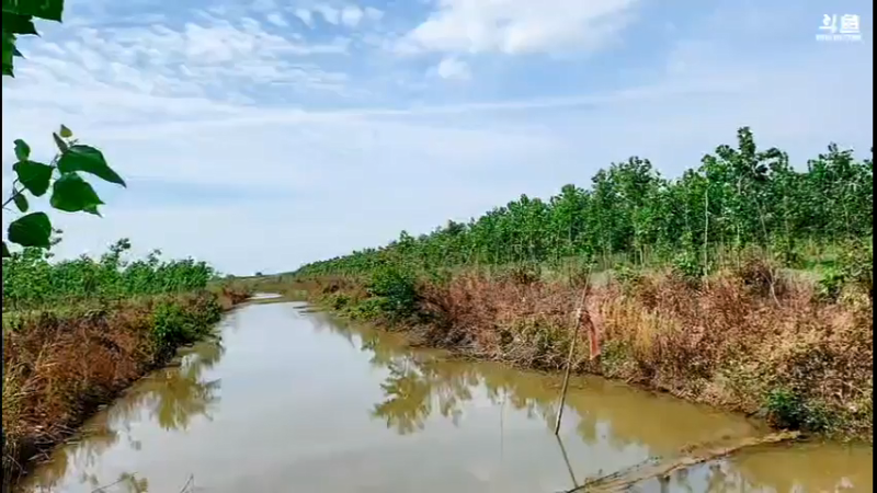 【2021-07-15 15点场】洪湖小肖：神秘荒野捕鱼2点左右见