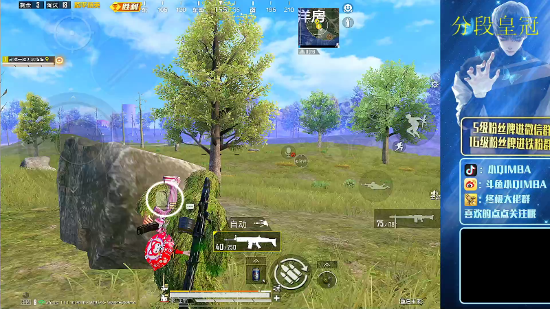 我在斗鱼看小QIMBA直播和平精英