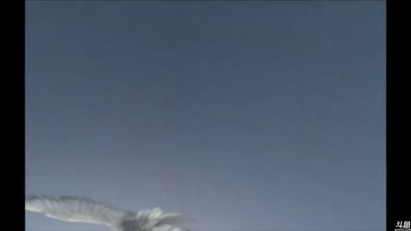 【2021-07-16 14点场】猫叔灬灬：【猫叔】 怪物猎人物语2 全收集啦~~~