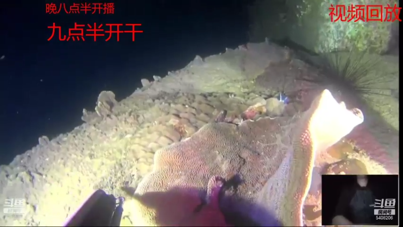 【2021-07-16 14点场】海道丶：爆仓啦 恭喜 三嫂喜提金海龙