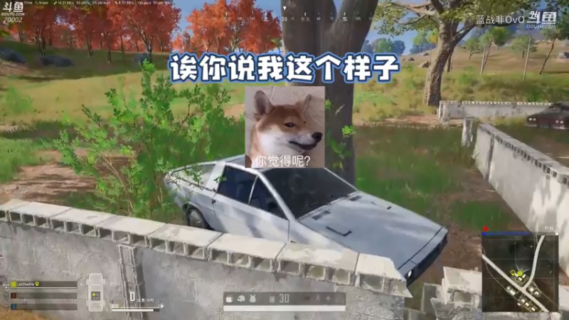 战非日常 自以为很隐匿的方法，上来就吃一颗雷