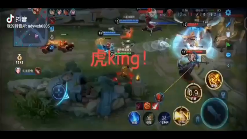 老虎是 五杀虎king