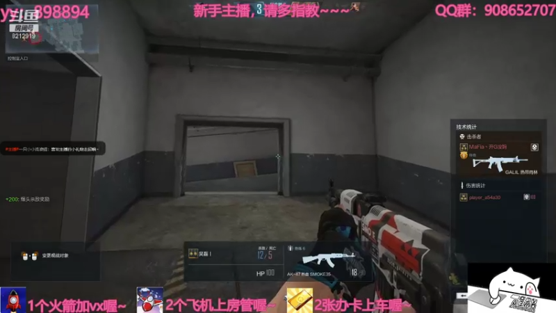【2021-07-16 17点场】一只小小流浪猫：小菜鸟出没，请注意！！！