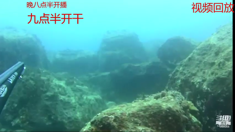 【2021-07-16 12点场】海道丶：爆仓啦 恭喜 三嫂喜提金海龙