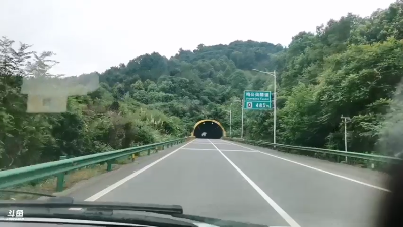 【2021-07-16 11点场】中华户外钓鱼：明后两天合肥中华垂钓大赛
