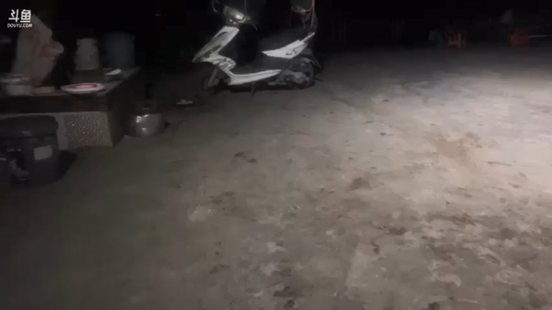 【2021-07-16 20点场】魅力生活i：晚上抓黄鳝牛蛙