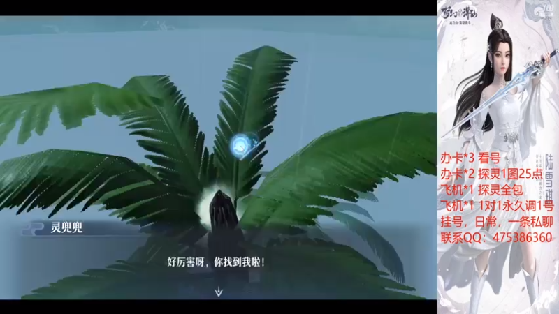 【2021-07-15 17点场】懒懒的小欣：看号+调号+打书，有问必答