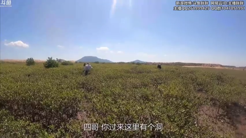 【2021-07-16 03点场】胖胖灬：胖胖OB：直播 TES左手冲韩服第一