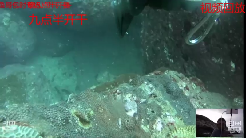 【2021-07-16 18点场】海道丶：爆仓啦 恭喜 三嫂喜提金海龙
