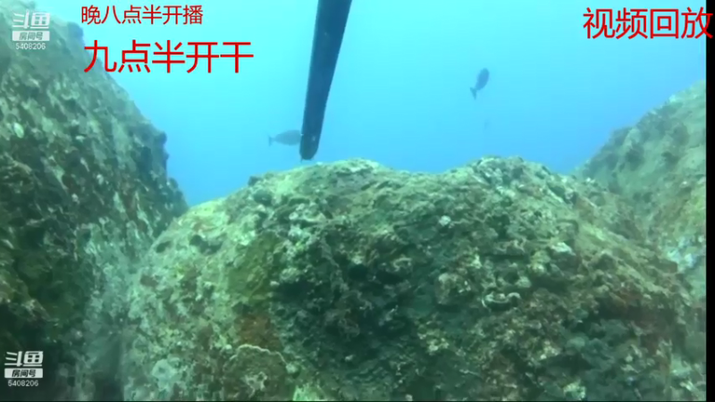 【2021-07-16 20点场】海道丶：爆仓啦 恭喜 三嫂喜提金海龙
