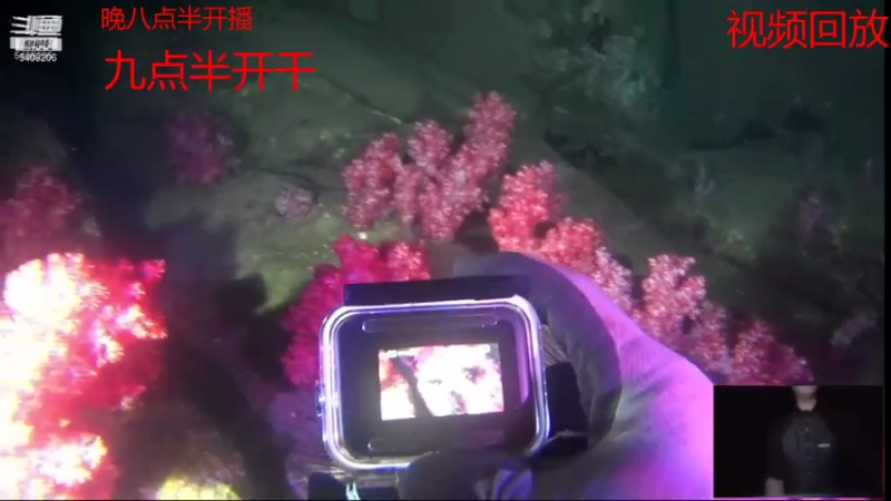 【2021-07-16 05点场】海道丶：爆仓啦 恭喜 三嫂喜提金海龙