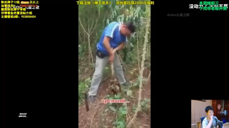 放逐大帝灬+ 英雄联盟：毕竟实力摆在这，就算玩辅助，也是一样轻松取胜