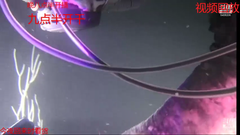 【2021-07-17 08点场】海道丶：恭喜 板爷562大哥爆仓