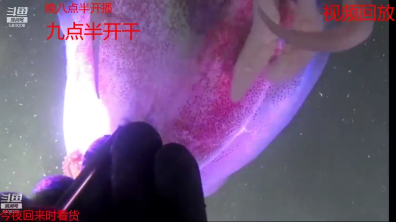 【2021-07-17 16点场】海道丶：恭喜 板爷562大哥爆仓