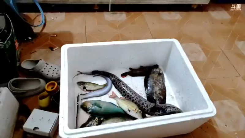 【2021-07-17 03点场】海道丶：恭喜 板爷562大哥爆仓