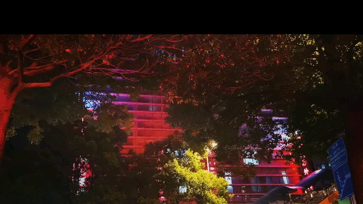 爱意随风起
