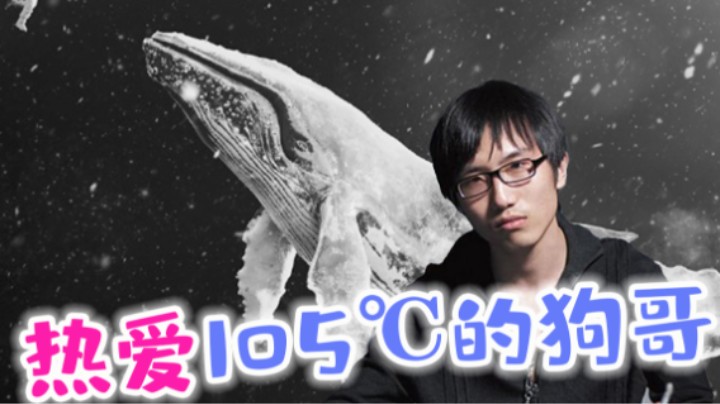热爱105°的狗哥