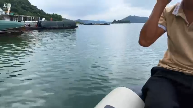 【2021-07-17 14点场】魅力生活i：又来水库喂鱼来了