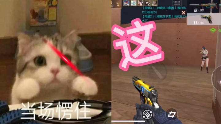 这...就有点憨憨了