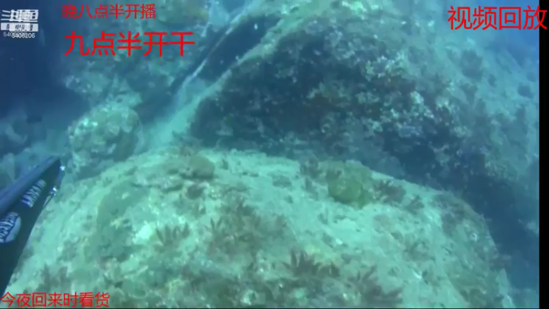 【2021-07-17 12点场】海道丶：恭喜 板爷562大哥爆仓