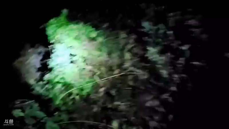 【2021-07-17 21点场】郑伟丶：娱乐性技术主播