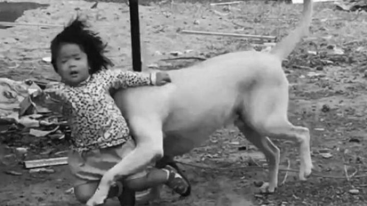 催眠