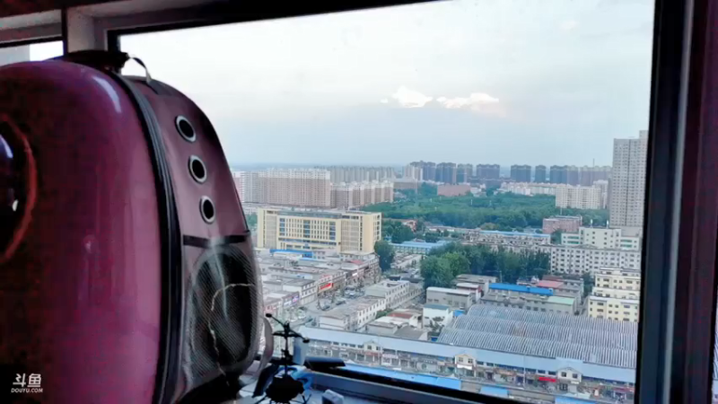 【2021-07-17 19点场】郑伟丶：娱乐性技术主播