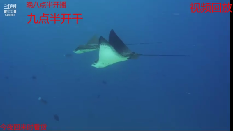 【2021-07-17 03点场】海道丶：预祝 板爷562大哥爆仓