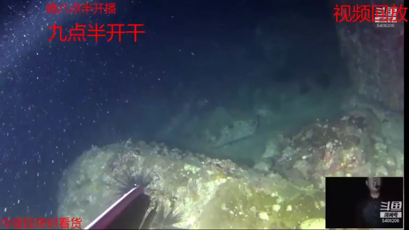 【2021-07-16 23点场】海道丶：预祝 板爷562大哥爆仓
