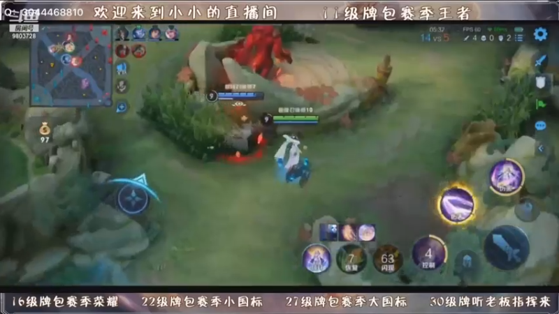 看我小号国服嫦娥如何乱杀