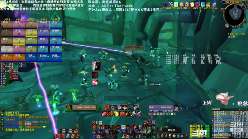 【2021-07-17 22点场】子叶Ace：今晚2个MSLD+GLR 席瓦莱恩招人