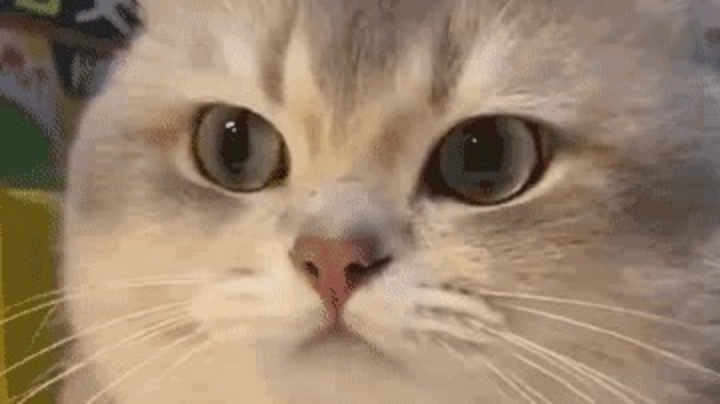 录播