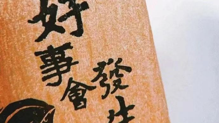 裤衩猫之快乐的一天