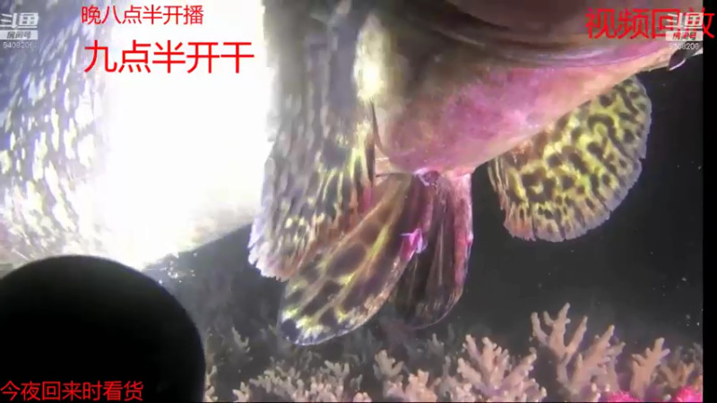 【2021-07-18 02点场】海道丶：恭喜 板爷562大哥爆仓