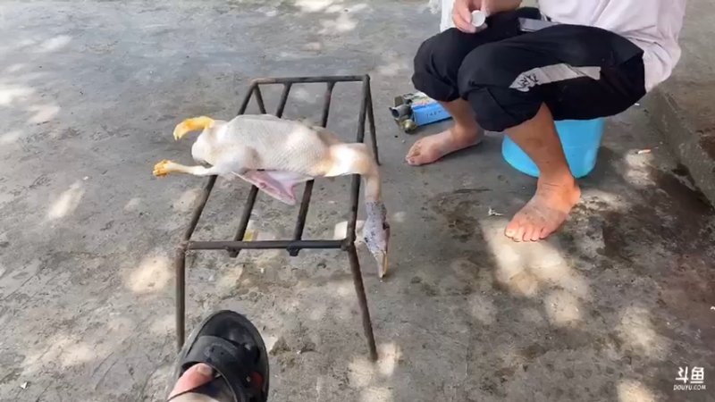 【2021-07-18 15点场】魅力生活i：兄弟们12点半见