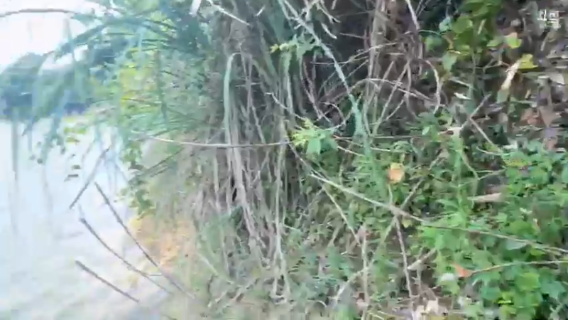 【2021-07-18 12点场】魅力生活i：兄弟们12点半见