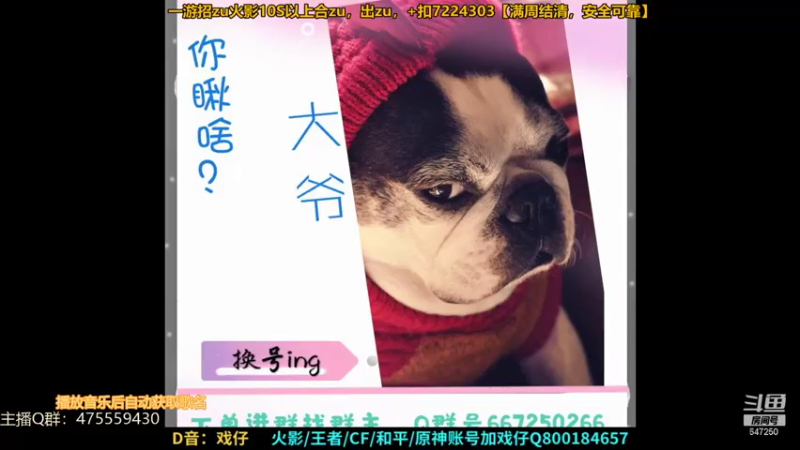 【2021-07-17 23点场】小马锅马杰：马杰：决斗场机制专场教学。