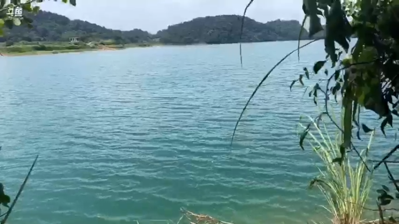 【2021-07-18 13点场】魅力生活i：兄弟们12点半见