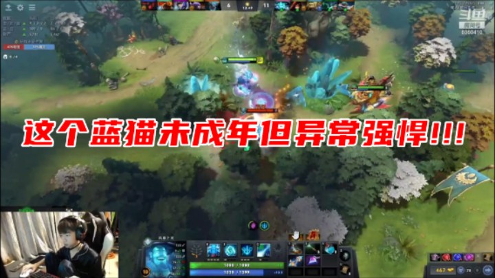 这个蓝猫未成年但异常强悍!!!