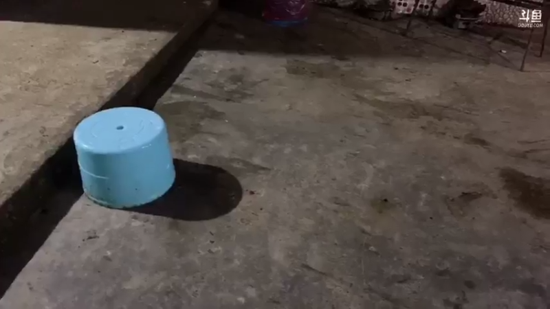 【2021-07-19 20点场】魅力生活i：晚上美食聊天