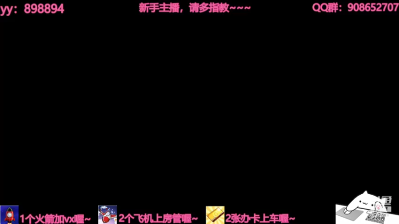【2021-07-19 19点场】一只小小流浪猫：小菜鸟出没，请注意！！！