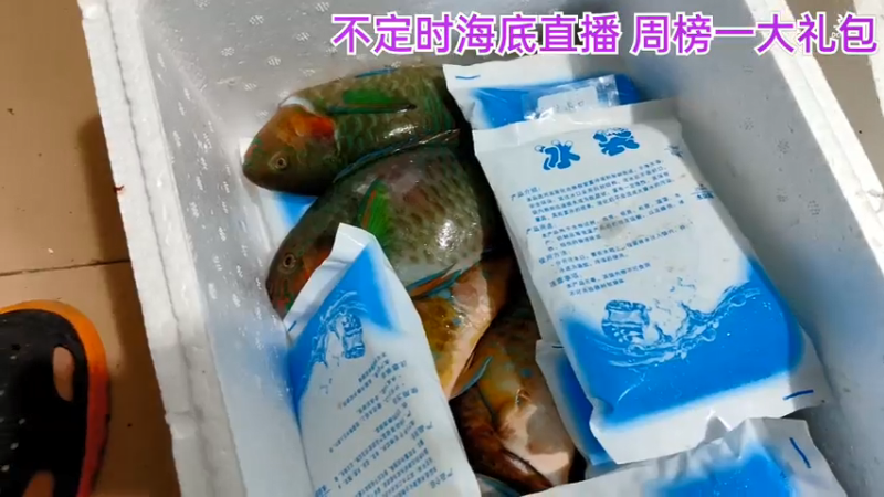【2021-07-18 22点场】海道丶：恭喜 板爷 罗曼 繁华