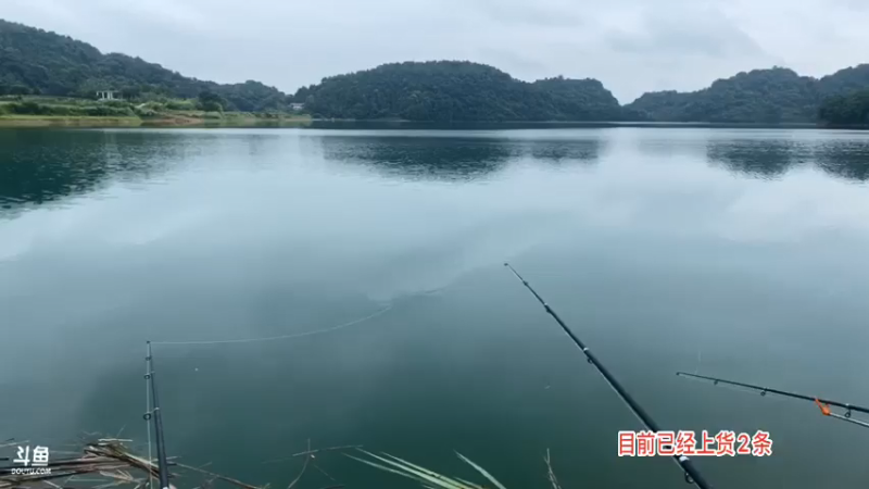 【2021-07-19 09点场】魅力生活i：水库守巨货第一天