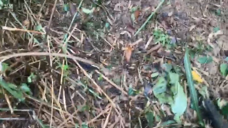 【2021-07-19 07点场】魅力生活i：水库守巨货第一天