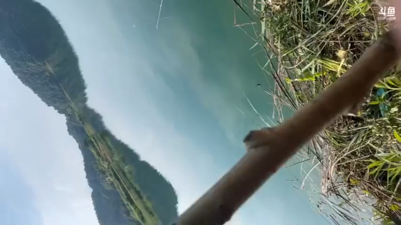 【2021-07-19 17点场】魅力生活i：水库守大鱼第一天